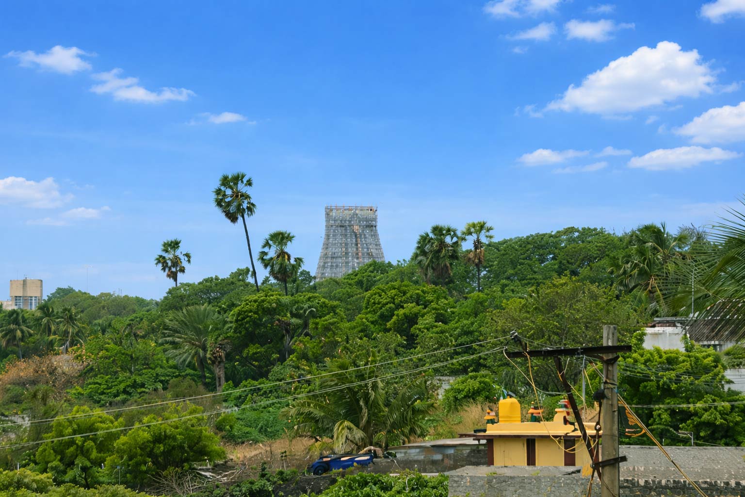 Outdoor area and surroundings of Thai Beach Resort Tiruchendur