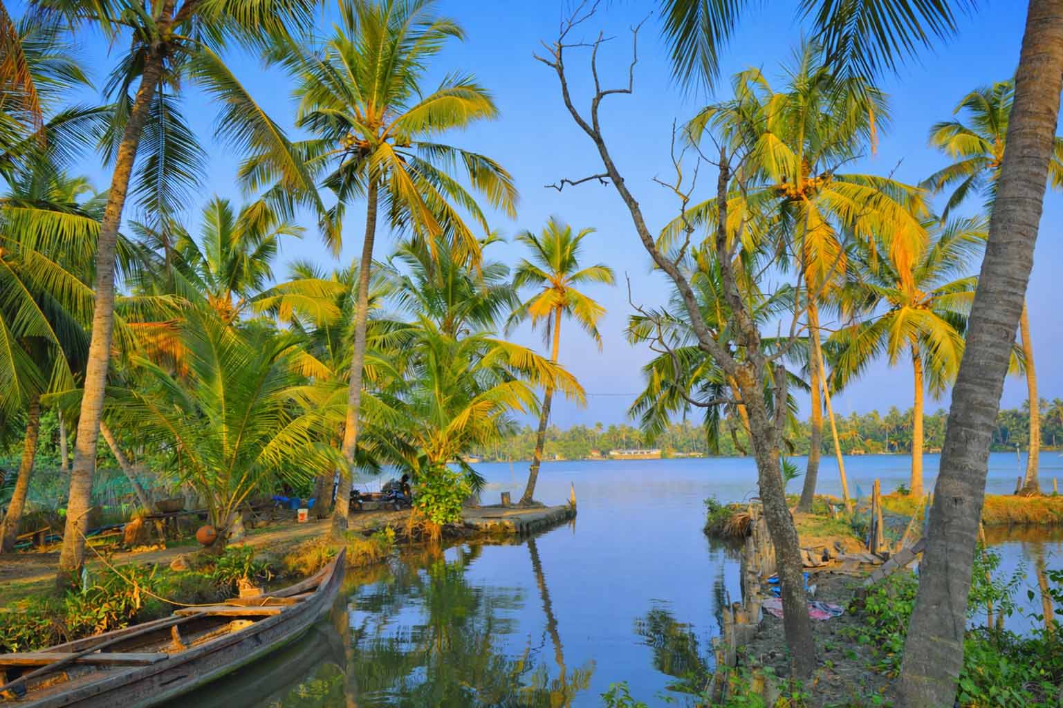 Coconut trees and water view near Tiruchendur